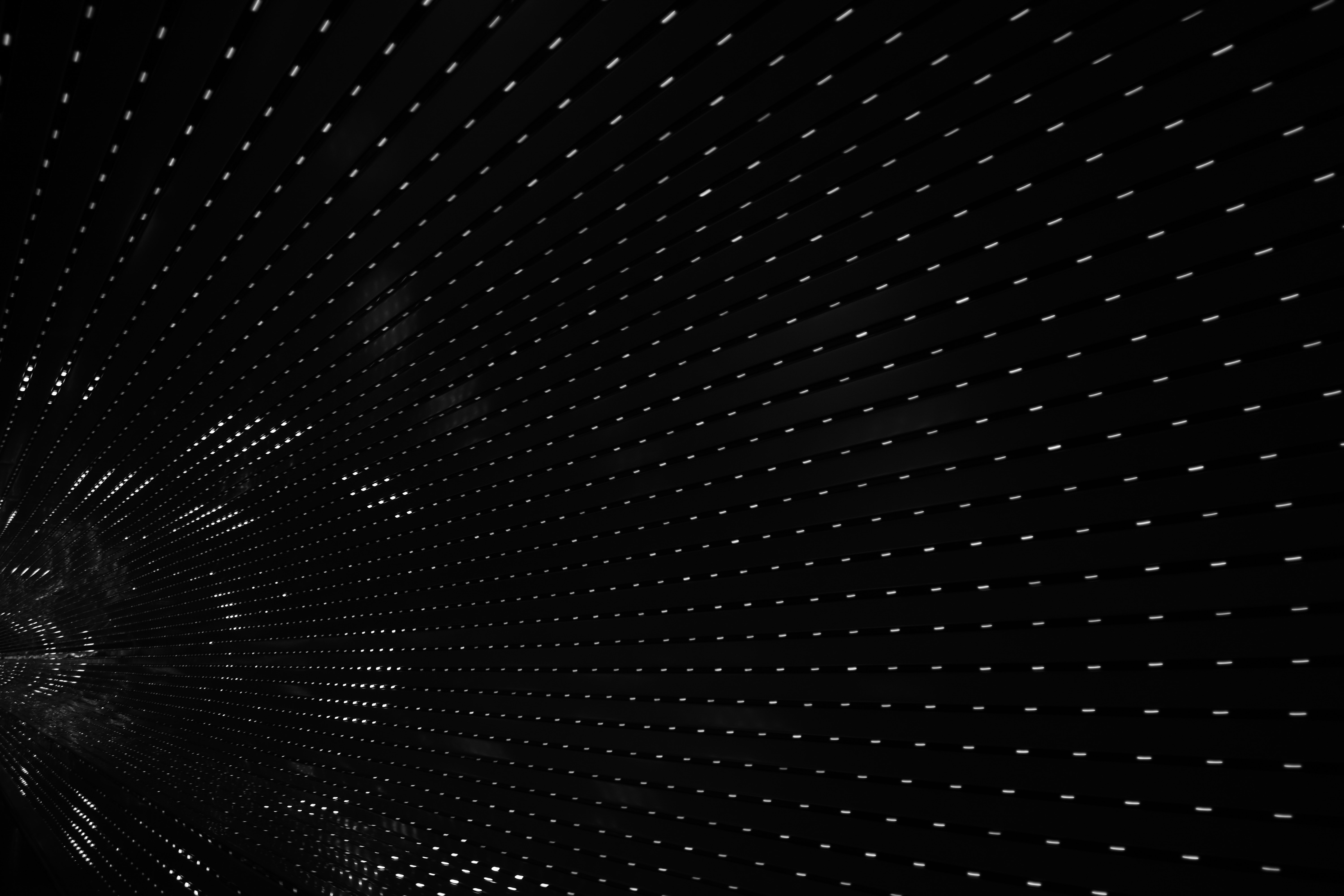 定制化营销方案